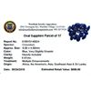 Image 2 : 9.87ctw Oval Mixed Blue Sapphire Parcel