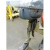 Image 3 : Evinrude Vintage Tiller O/B