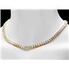 Image 6 : 14k Yellow Gold 30.00ct Opal Necklace