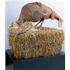 Image 1 : MEYER VAISMAN UNTITLED (TURKEY XXXIII) (b. 1960) assemblage with taxidermied turkey, nylon stocki...