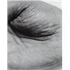 Image 2 : JOHN COPLANS (b. 1920) hand (two panels, horizontal) gelatin silver print in two parts 51 x 41 in...
