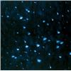 Image 1 : ROSS BLECKNER (b. 1949) BLUE STAR signed and dated "Ross Bleckner 2001" on the reverse oil on lin...