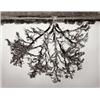 Image 1 : RODNEY GRAHAM (b.1949) UNTITLED (two WORKS) signed, numbered of 24, and dated "R. Graham '95" on ...