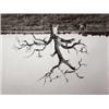Image 2 : RODNEY GRAHAM (b.1949) UNTITLED (two WORKS) signed, numbered of 24, and dated "R. Graham '95" on ...