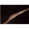 Image 1 : ANDRES SERRANO (b.1950) UNTITLED VII (EJACULATE IN TRAJECTORY) Cibachrome mounted on Plexiglas in...