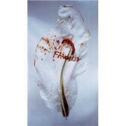 ANNE AND PATRICK POIRIER (b. 1942 and 1942) FRAGILITY Cibachrome mounted on aluminum 67 x 433/8 i...