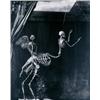 Image 1 : JOEL-PETER WiTKIN (b. 1939) (I) CUPID AND CENTAUR IN THE MUSEUM OF LOVE, MARSEILLE (II) SELF-PORT...