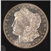 Image 2 : 1884-O MORGAN SILVER DOLLAR, CCGS GEM BU PL