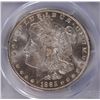 Image 2 : 1885-O MORGAN DOLLAR PCGS MS-64+
