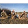 Image 1 : 3-DAY WHITETAIL HUNT FOR 2 HUNTERS IN OHIO