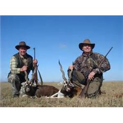 4-DAY BLACKBUCK & FERAL RAM HUNT IN ARGENTINA FOR 1 HUNTER