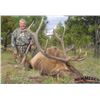 Image 1 : 5 Day Archery Elk, Deer, & Bear Combo Hunt for 1 Hunter in New Mexico