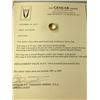Image 2 : ONE 14KT YELLOW GOLD DIAMOND SET LADIES OR GENTS DRESS OR WEDDING RING.  CHANNEL SET WITH  A ROW OF