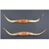 Image 7 : Carlock Saddlery Decorative Lot