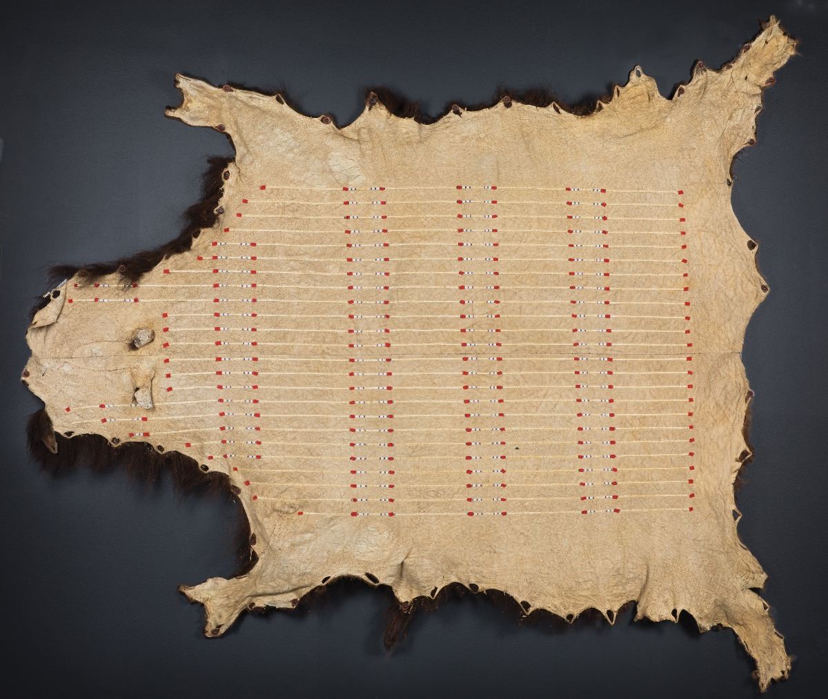 Plains Quilled Buffalo Robe