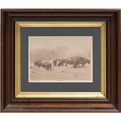 W.T. Hornaday (1854-1937)