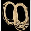 Image 1 : Two Rawhide Reatas