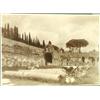 Image 1 : Travel [Italy], A group of 4 photographic views of the forum in Rome., 11" x 15" - 27.9 x 38....