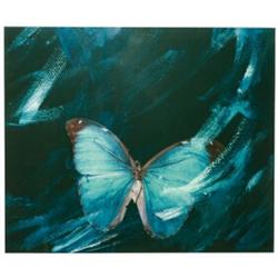 Hahn, Betty, BOTANICAL LAYOUT: BUTTERFLY I 1980, a colour Polaroid of a butterfly. Matted and f...