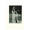 Image 1 : KertTsz, AndrT (1894-1985), MELANCHOLIC TULIP, NEW YORK (1939), a silver print of this famed Ke...