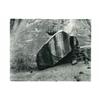 Image 1 : Rainier, Chris G., ROCK & BUSH ARCHES MONUMENT, UTAH, 1983, a mounted silver print. Signed on t...