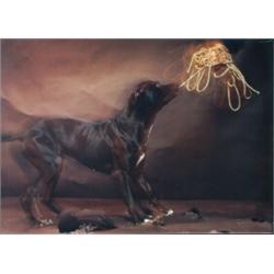 Saharuni, Randy, PLAYING THE GAME 1, 1988, an Ektacolour print. Framed., 28.7" x 40" - 72.9 x...