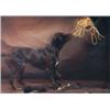 Image 1 : Saharuni, Randy, PLAYING THE GAME 1, 1988, an Ektacolour print. Framed., 28.7" x 40" - 72.9 x...