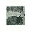 Image 1 : Siskind, Aaron (1903-1991), COACZACOALCOS 32 1973, a gelatin silver print, printed later, signe...