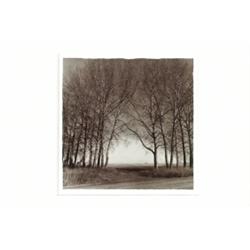 Sowden, Michael, WINDBREAK, 1977, silver print. Signed, titled and dated in pencil verso., 5....