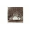 Image 1 : Sowden, Michael, WINDBREAK, 1977, silver print. Signed, titled and dated in pencil verso., 5....