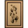 Image 2 : Walter Hook (1919-1989) Pencil Drawing,