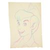 Image 2 : Collection of Original Drawings for Peter Pan's Flight Entrance Mural