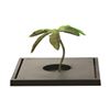 Image 1 : Rare Prop Palm Tree from Disneyland Peter Pan's Flight