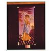 Image 3 : Collection of (6) Persephone, Haunted Mansion Changing Painting glass  slides