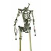 Image 2 : Audio-Animatronics A-1 Mechanical Frame