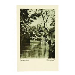 Disneyland Real-Photo Postcard