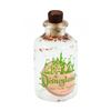 Image 1 : Disneyland Penny In A Bottle Souvenir