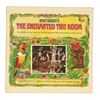 Image 1 : Walt Disney's The Enchanted Tiki Room and Jungle Cruise record