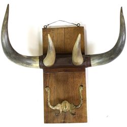 Vintage horn hat rack with period hook