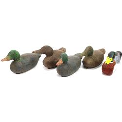 Collection of 5 wood duck decoys.