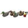 Image 1 : Collection of 5 wood duck decoys.