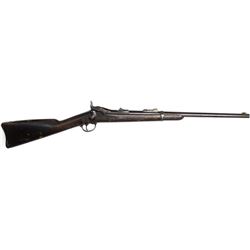 US Springfield 1st Model 45-70 SN 45075