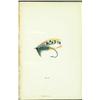 Image 1 : SANDEMAN, FRASER. ANGLING TRAVELS IN NORWAY. First edition, x, 284 . Illustrated. 8vo, teal and g...