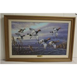 "Looking for shelter" on canvas