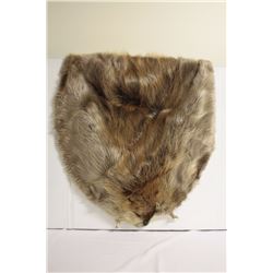 Beaver pelt