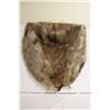 Image 1 : Beaver pelt