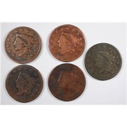 (5) LARGE CENTS (1830, 1831, 1832, 1833, 1835)