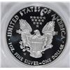 Image 3 : 2008-W PROOF SILVER AMERICAN EAGLE ANACS PF-69 DCAM