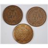 Image 2 : 3 - 1907 INDIAN HEAD CENTS, XF/AU