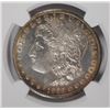 Image 2 : 1885-CC MORGAN DOLLAR NGC AU DETAILS